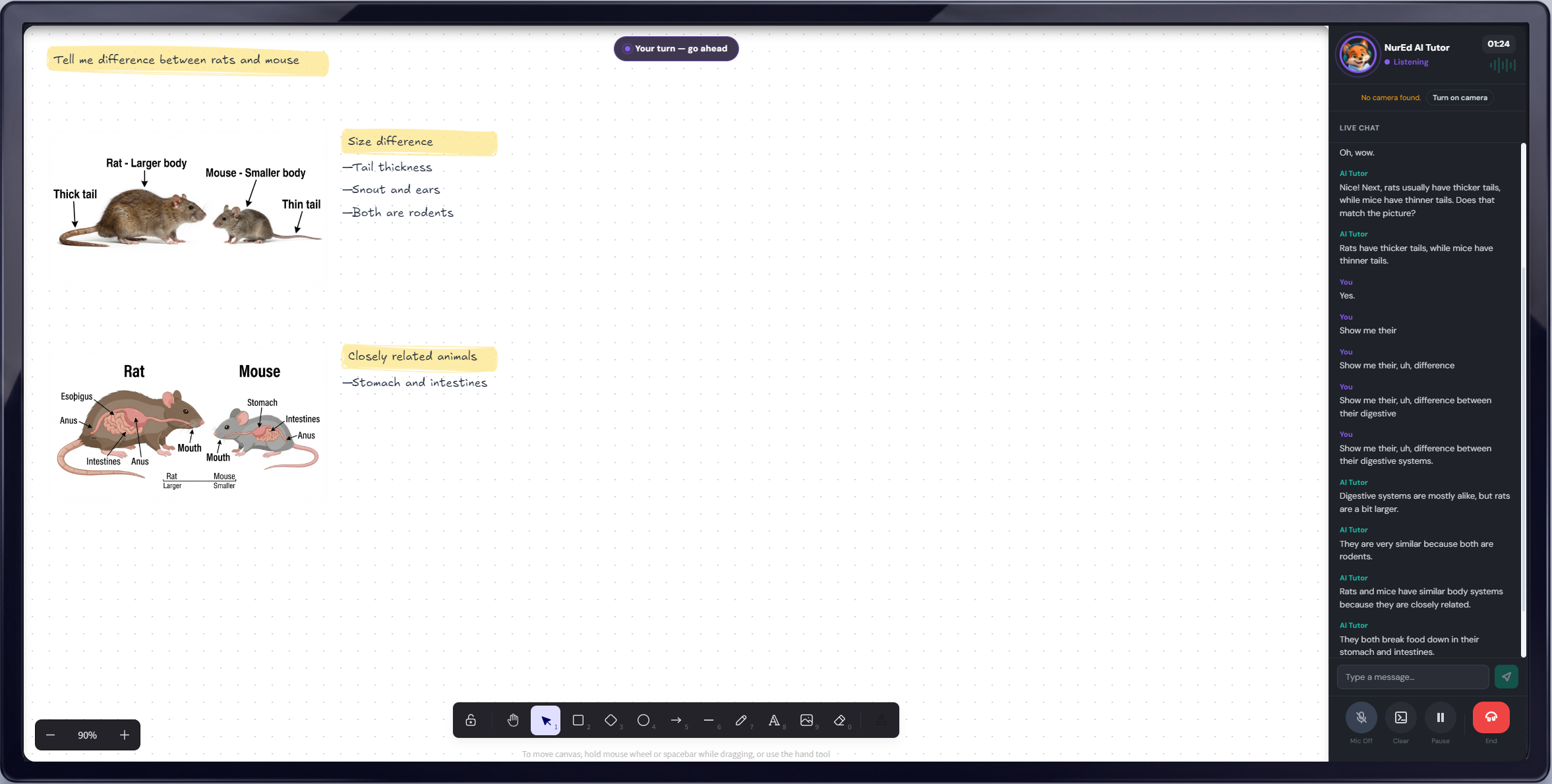 A live Study Buddy whiteboard tutoring session, with a real-time voice chat transcript alongside